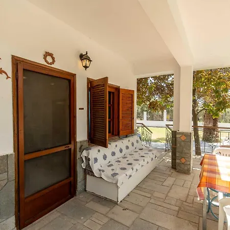 公寓 Palm Tree 1 *