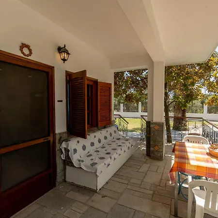 Palm Tree 1 * Karianí