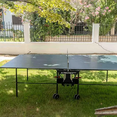 Palm Tree 1 Karianí